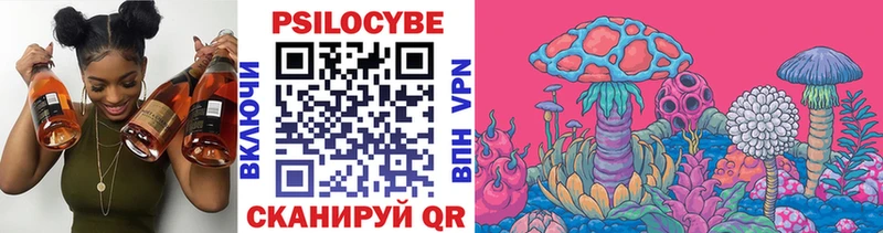 Купить где  Кашин  Галлюциногенные грибы Psilocybe 