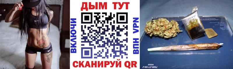 Конопля планчик  Купить где  Кашин 